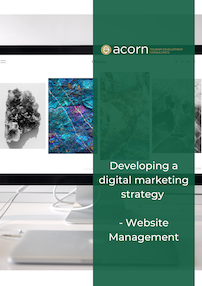 Developing a digital marketing strategy - Website management